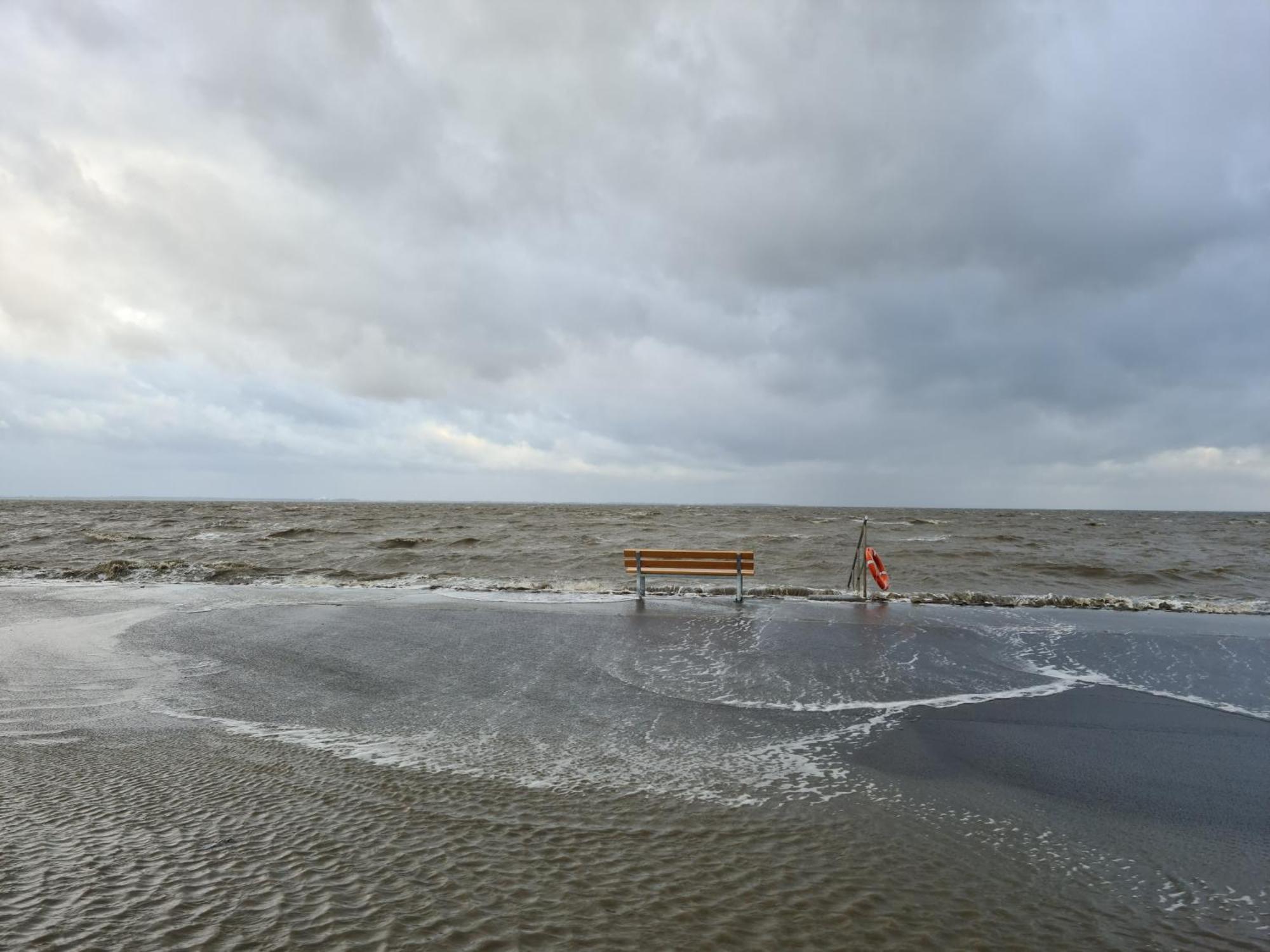 Haus Pudelwohl - Hundefreundliches Ferienhaus An Der Nordseekueste Sehestedt  Exteriör bild
